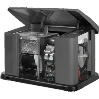 Генератор газовый Briggs & Stratton 040489