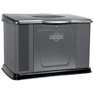 Генератор газовый Briggs & Stratton 040491