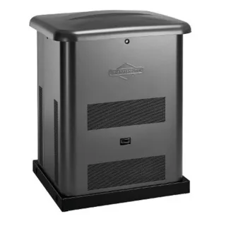 Генератор газовый Briggs & Stratton 040495