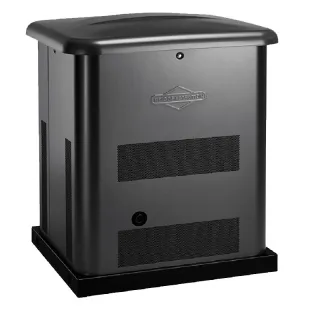 Генератор газовый Briggs & Stratton 040494